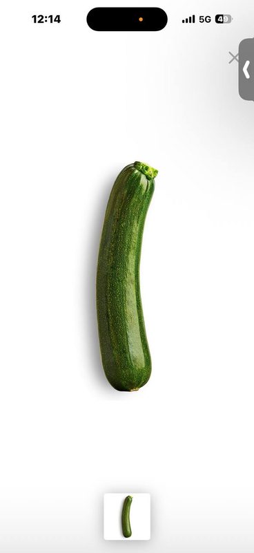 Calabacin