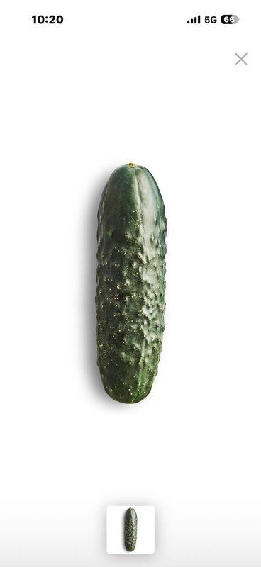 Pepino