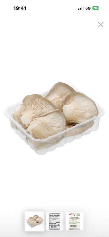 Seta entera cultivada